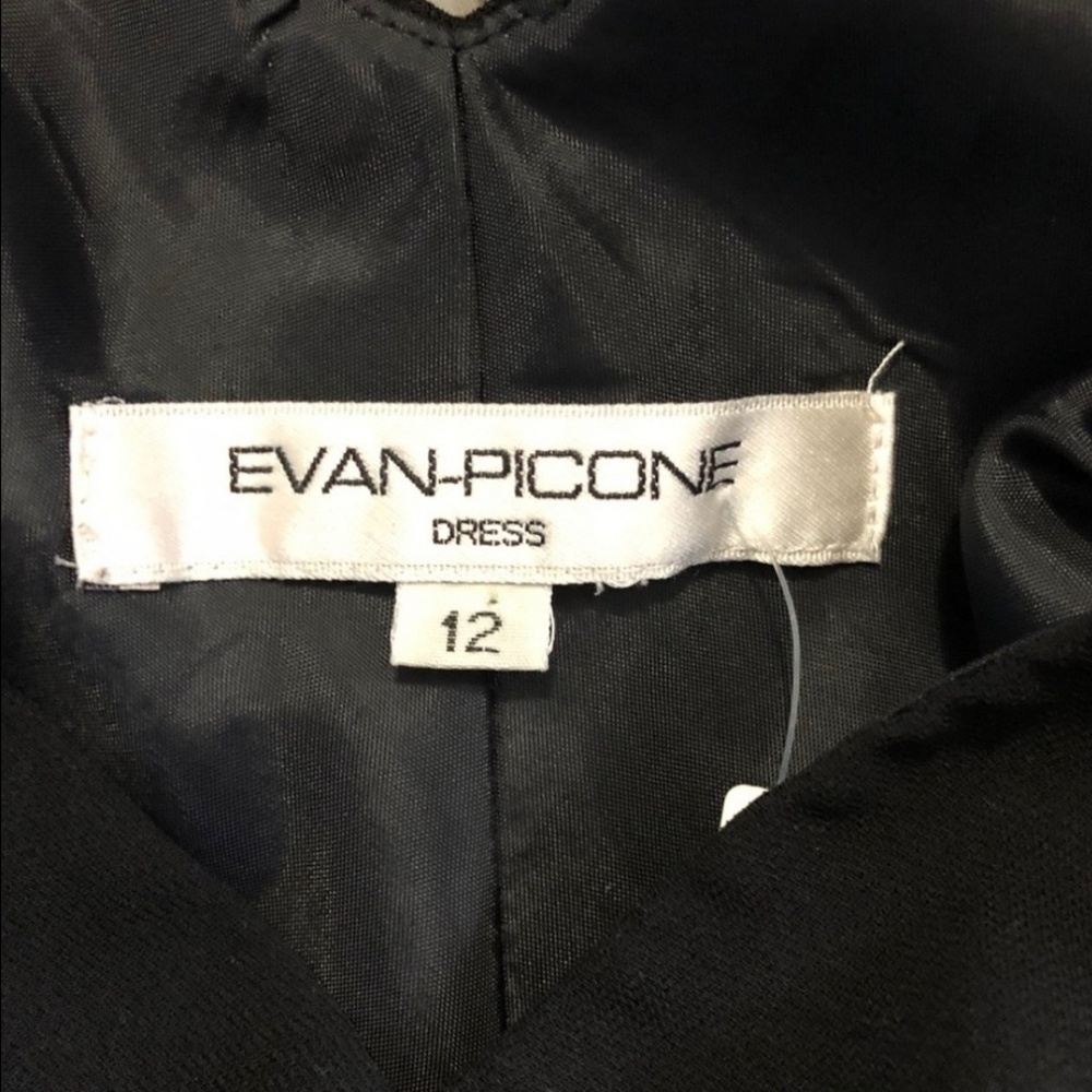 Evan Piccone Dress - Picture 2 of 3